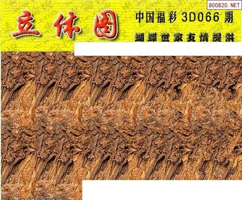 26066期: 3D蝴蝶世家蝴蝶彩图