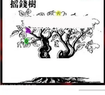 26082期: 三毛3D精品图谜