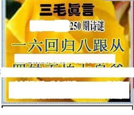 25250期: 三毛3D精品图谜