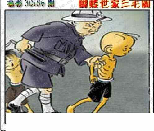 24186期: 3D蝴蝶世家蝴蝶彩图