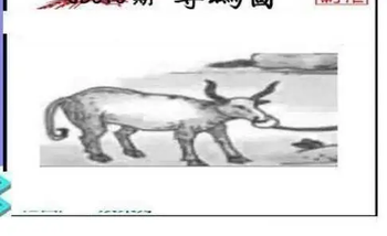 26010期: 三毛3D精品图谜