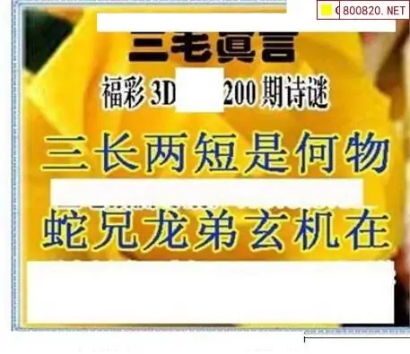 25200期: 三毛3D精品图谜