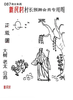 26087期: 老村长福彩3D天天图谜