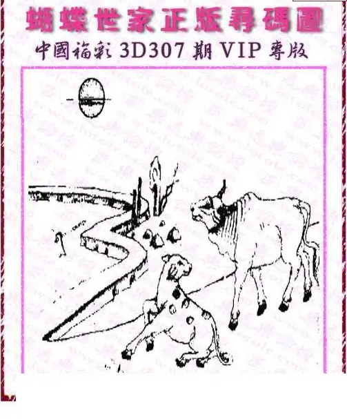 25307期: 3D蝴蝶世家蝴蝶彩图