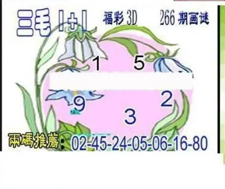 25266期: 三毛3D精品图谜