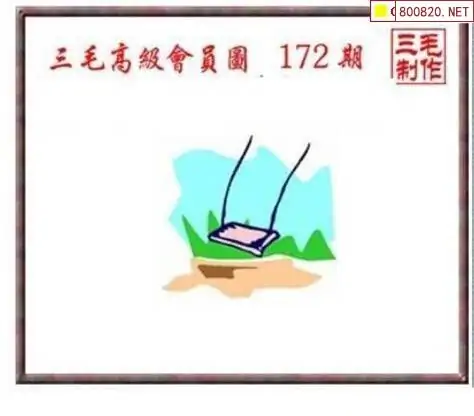25172期: 三毛3D精品图谜