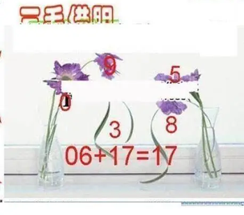 26081期: 三毛3D精品图谜