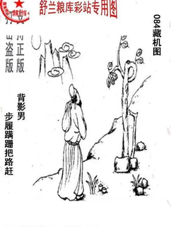 26084期: 老村长福彩3D天天图谜