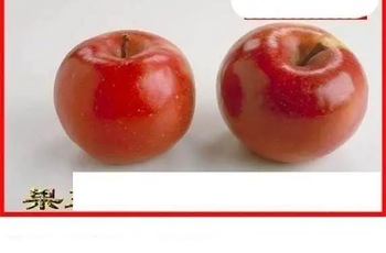 26069期: 白老3D杀码图版