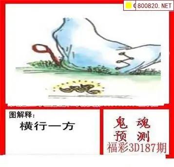 25187期: 白老3D杀码图版