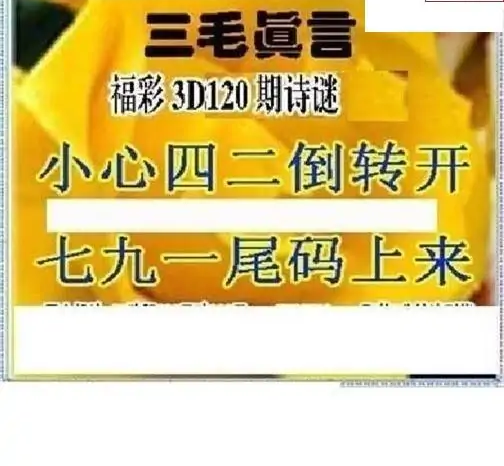 25120期: 三毛3D精品图谜