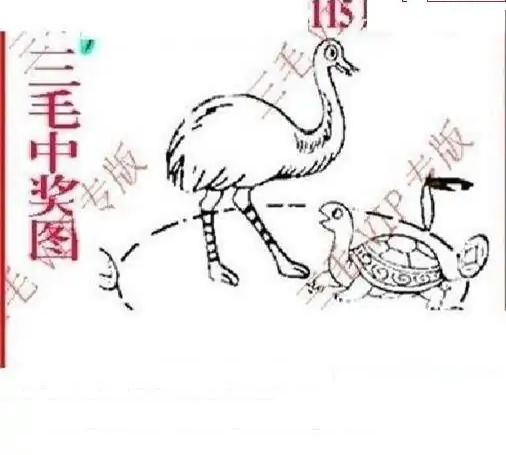 25115期: 三毛3D精品图谜