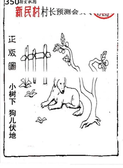 25350期: 老村长福彩3D天天图谜