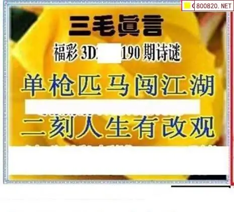 25190期: 三毛3D精品图谜