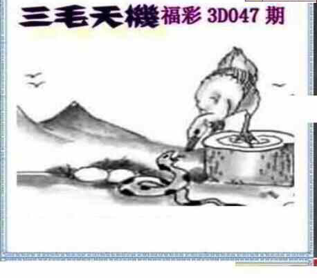25047期: 三毛3D精品图谜