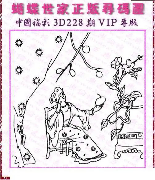 25228期: 3D蝴蝶世家蝴蝶彩图
