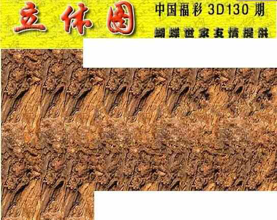 24130期: 3D蝴蝶世家蝴蝶彩图