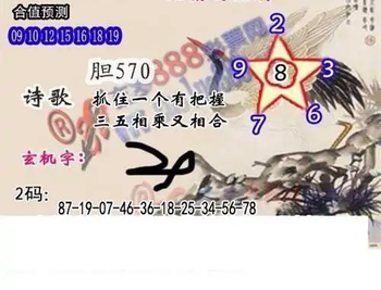 25320期: 白老3D杀码图版