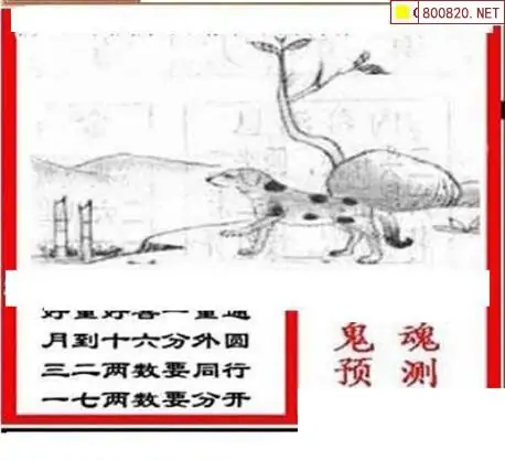 25186期: 三毛3D精品图谜