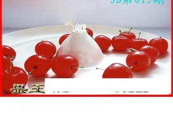 26015期: 白老3D杀码图版