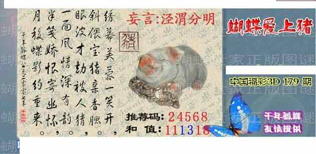 24179期: 3D蝴蝶世家蝴蝶彩图