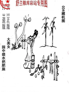 26034期: 老村长福彩3D天天图谜