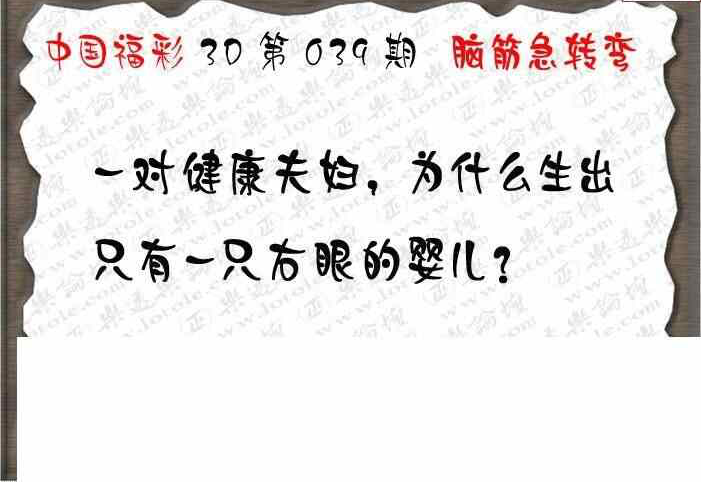 25039期: 3D蝴蝶世家蝴蝶彩图