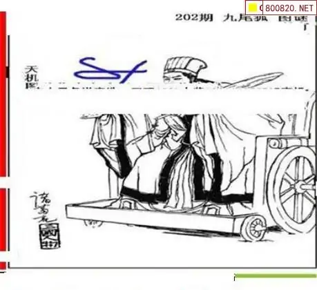 25202期: 三毛3D精品图谜