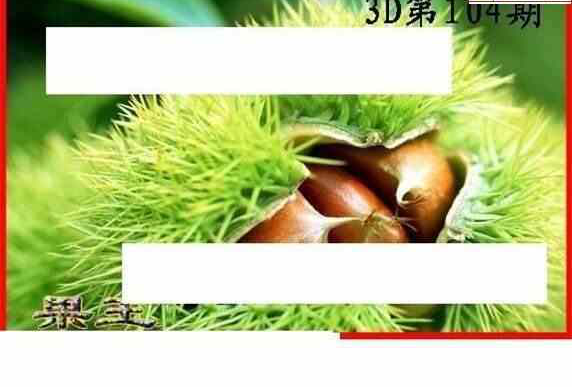 24104期: 白老3D杀码图版