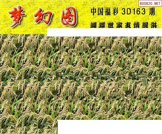 25163期: 3D蝴蝶世家蝴蝶彩图