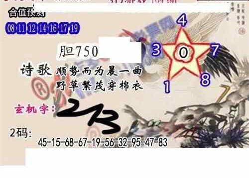 24164期: 白老3D杀码图版