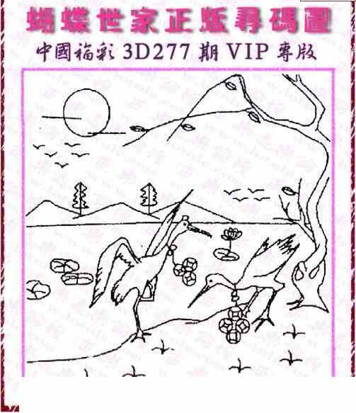 24277期: 3D蝴蝶世家蝴蝶彩图