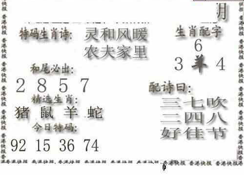 24197期: 白老3D杀码图版