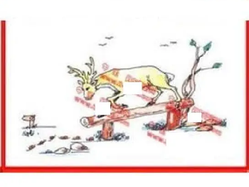 26096期: 福彩3D丹东全图分析