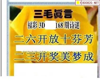 25168期: 三毛3D精品图谜