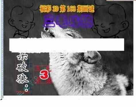 24163期: 三毛3D精品图谜