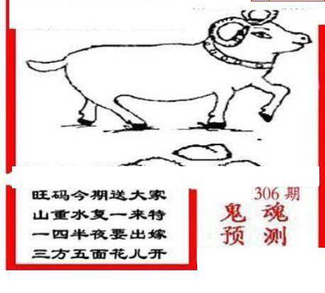 24306��: ��ë3D��Ʒͼ��