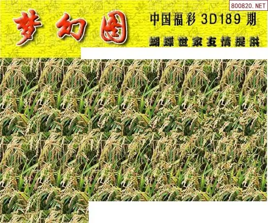 25189期: 3D蝴蝶世家蝴蝶彩图