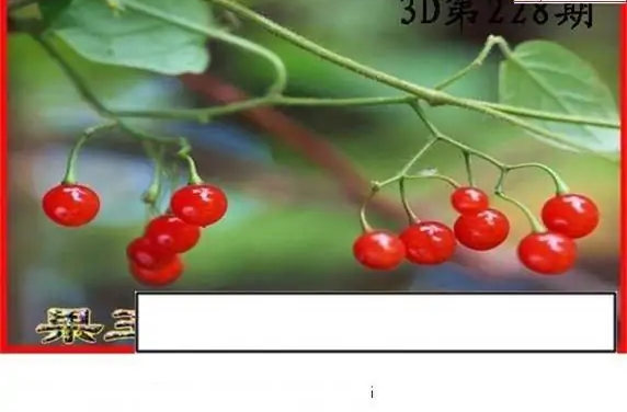 25228期: 白老3D杀码图版