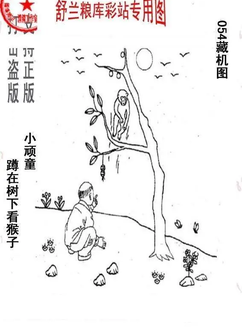 26054期: 老村长福彩3D天天图谜