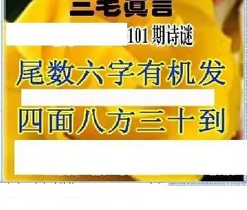 26101期: 三毛3D精品图谜