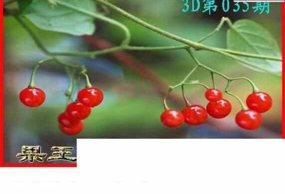 25035��: ����3Dɱ��ͼ��