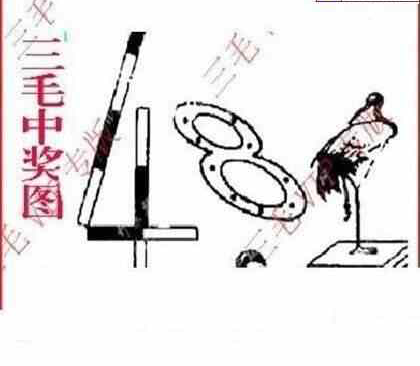 24104期: 三毛3D精品图谜