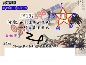 26007期: 白老3D杀码图版