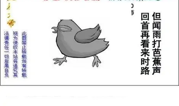 25337期: 白老3D杀码图版