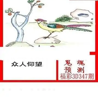 25347期: 白老3D杀码图版