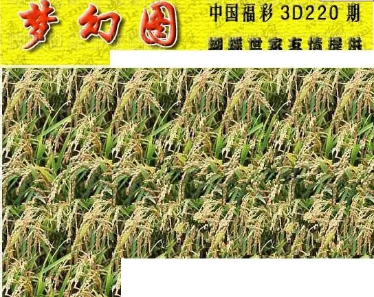 25220期: 3D蝴蝶世家蝴蝶彩图