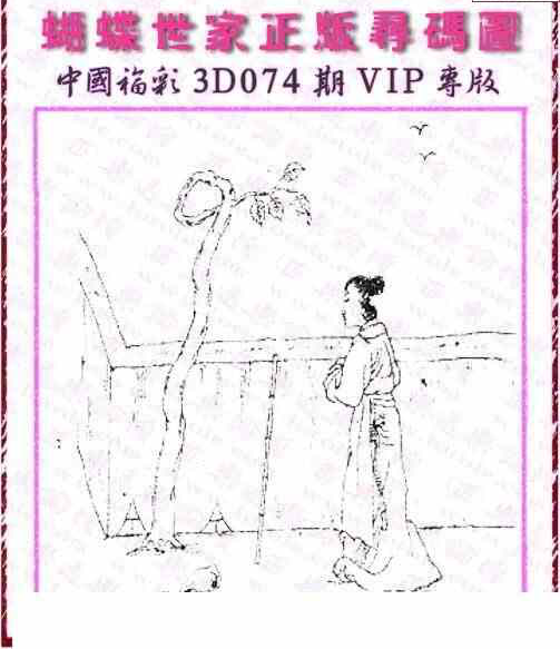 24074期: 3D蝴蝶世家蝴蝶彩图