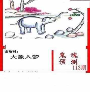 24113期: 白老3D杀码图版