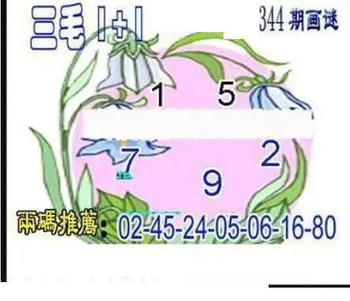 25344期: 三毛3D精品图谜